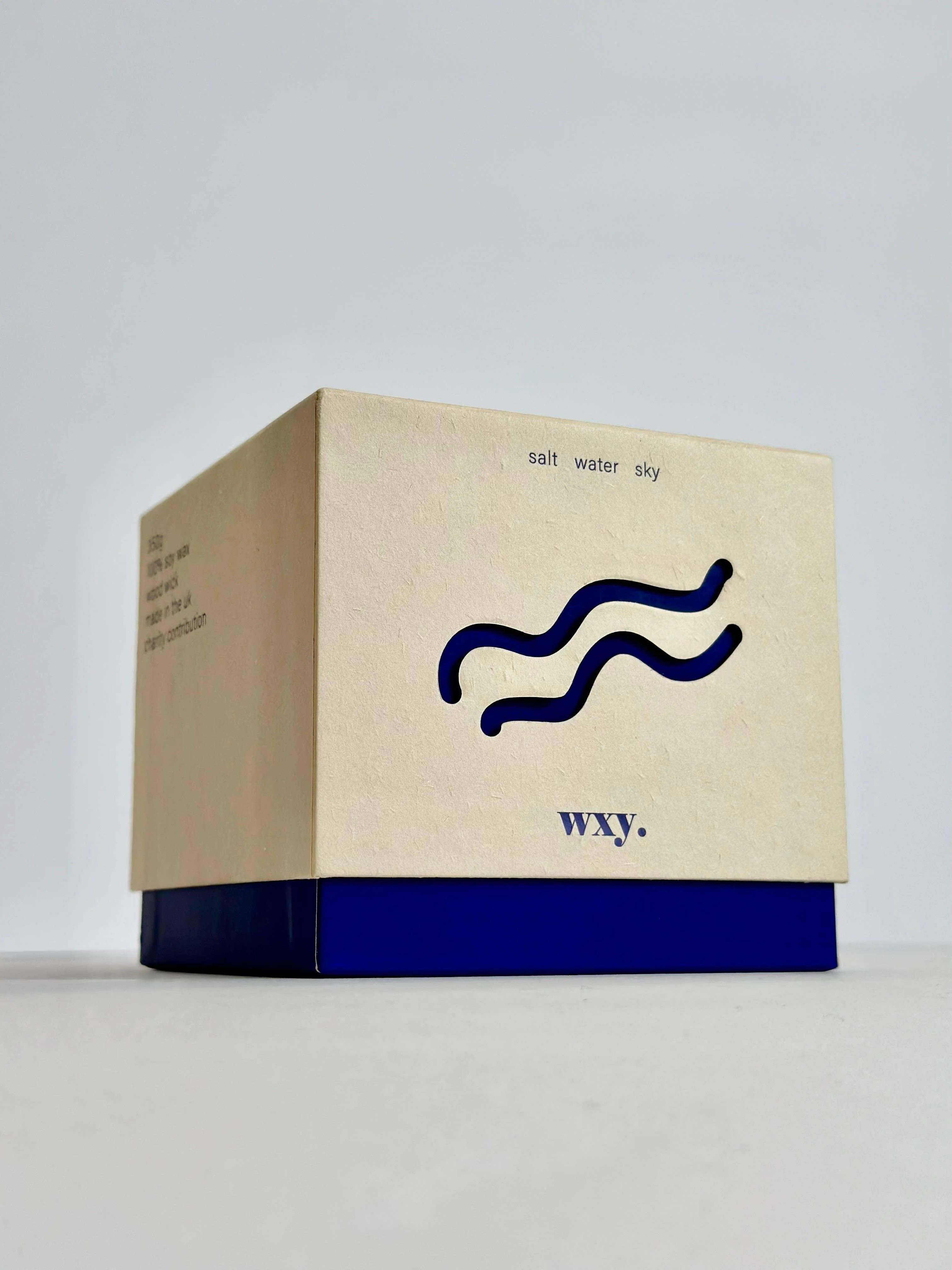12.5oz candle - Salt Water - Image 4