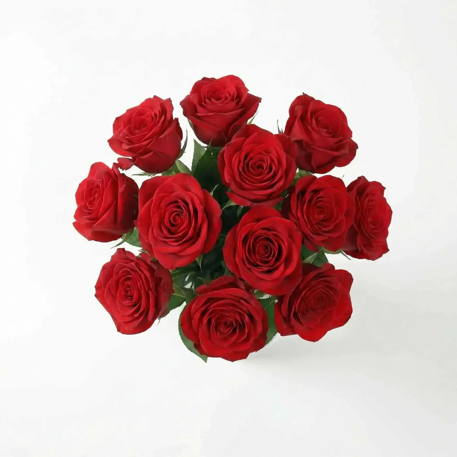Luxury Red Roses - Image 3