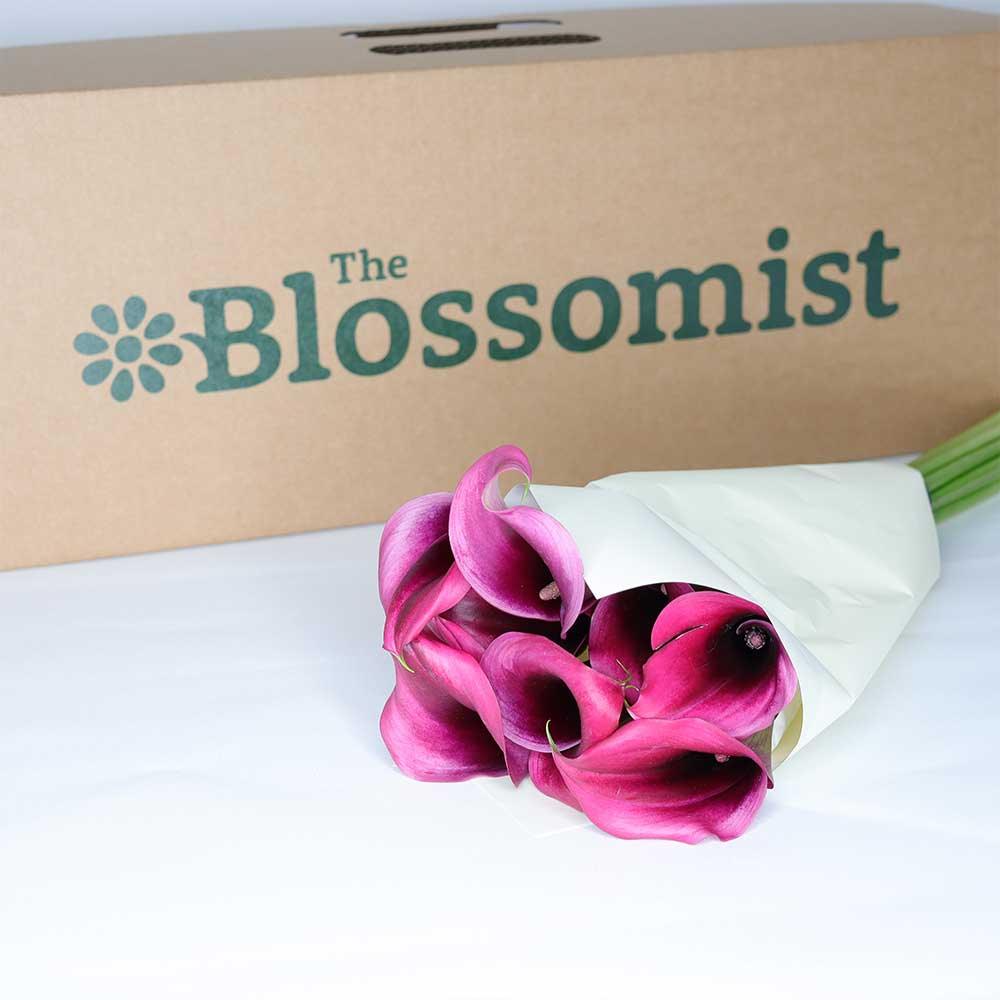 Pink Calla Lily - Image 4