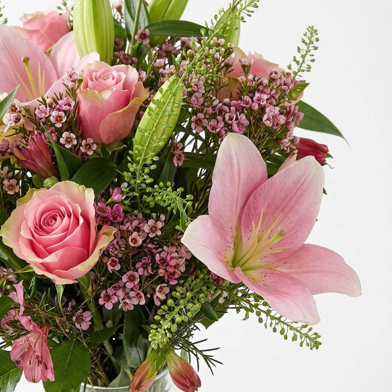 The Blush - Image 3